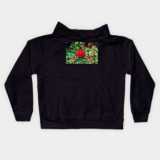 Red rose for your love on valentines day Kids Hoodie